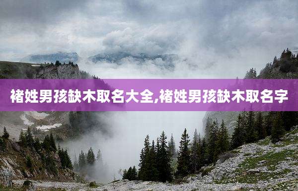 褚姓男孩缺木取名大全,褚姓男孩缺木取名字