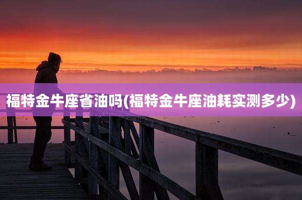 福特金牛座省油吗(福特金牛座油耗实测多少)