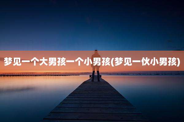 梦见一个大男孩一个小男孩(梦见一伙小男孩)