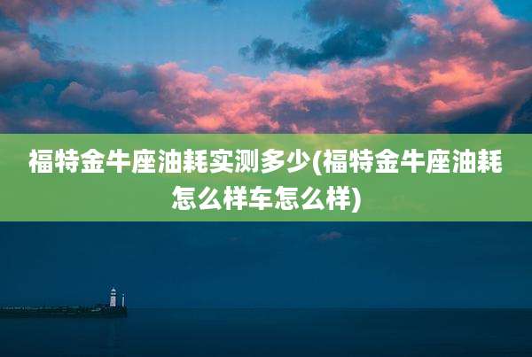 福特金牛座油耗实测多少(福特金牛座油耗怎么样车怎么样)