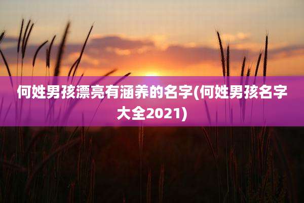 何姓男孩漂亮有涵养的名字(何姓男孩名字大全2021)