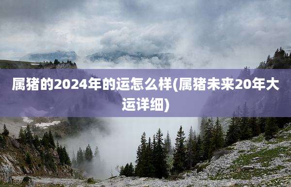 属猪的2024年的运怎么样(属猪未来20年大运详细)