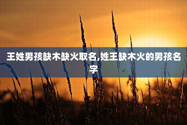 王姓男孩缺木缺火取名,姓王缺木火的男孩名字