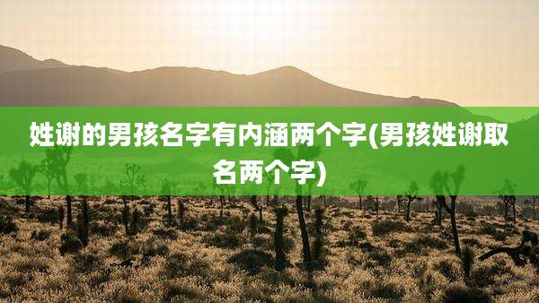 姓谢的男孩名字有内涵两个字(男孩姓谢取名两个字)