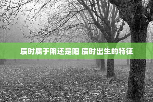 辰时属于阴还是阳 辰时出生的特征