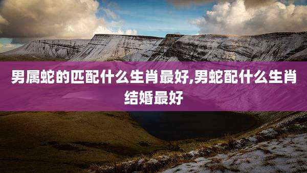 男属蛇的匹配什么生肖最好,男蛇配什么生肖结婚最好