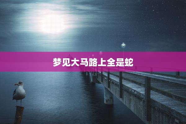 梦见大马路上全是蛇