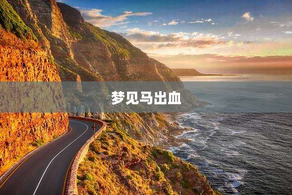 梦见马出血
