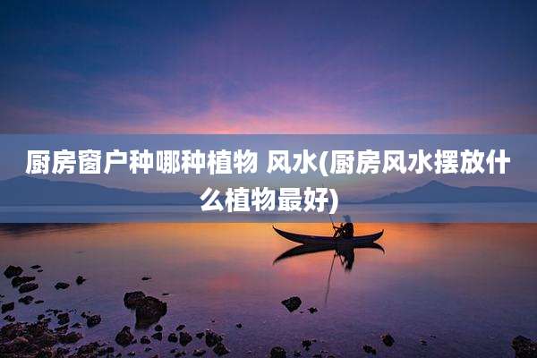 厨房窗户种哪种植物 风水(厨房风水摆放什么植物最好)