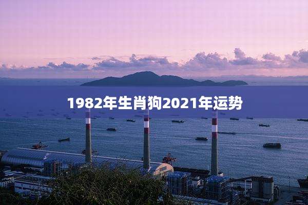 1982年生肖狗2021年运势