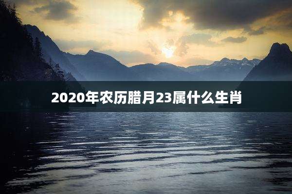 2020年农历腊月23属什么生肖