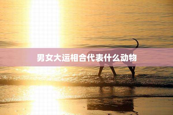 男女大运相合代表什么动物