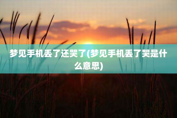 梦见手机丢了还哭了(梦见手机丢了哭是什么意思)