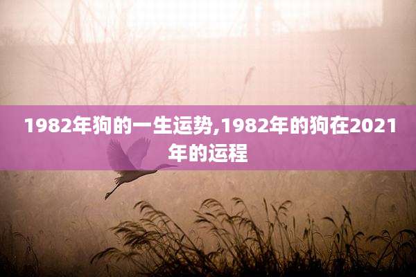 1982年狗的一生运势,1982年的狗在2021年的运程