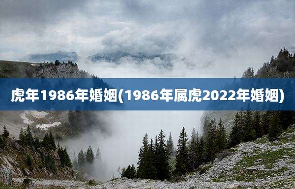 虎年1986年婚姻(1986年属虎2022年婚姻)