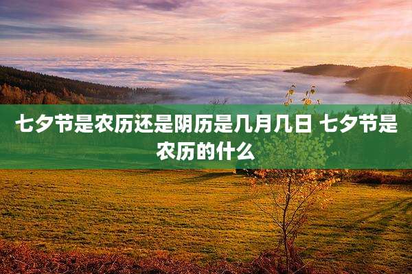 七夕节是农历还是阴历是几月几日 七夕节是农历的什么