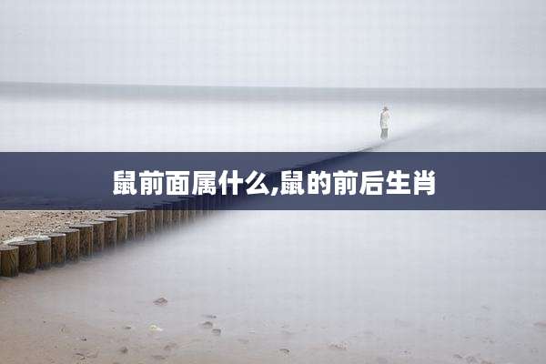 鼠前面属什么,鼠的前后生肖