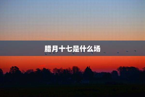 腊月十七是什么场