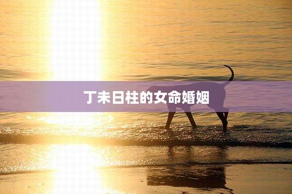 丁未日柱的女命婚姻