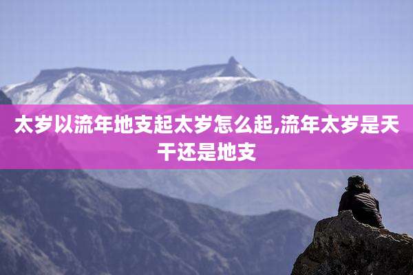 太岁以流年地支起太岁怎么起,流年太岁是天干还是地支