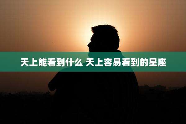 天上能看到什么 天上容易看到的星座