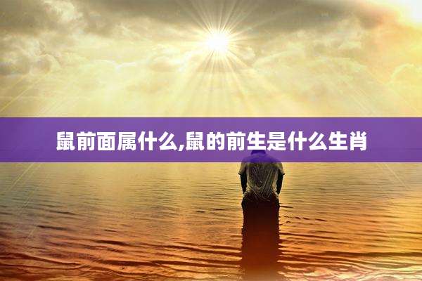 鼠前面属什么,鼠的前生是什么生肖