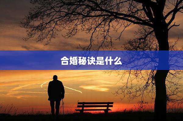 合婚秘诀是什么