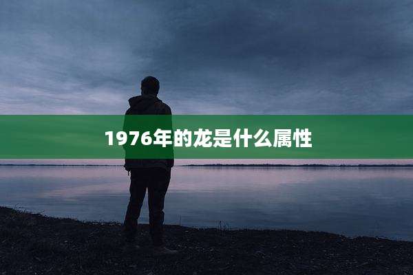1976年的龙是什么属性