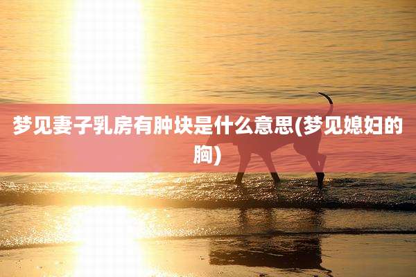 梦见妻子乳房有肿块是什么意思(梦见媳妇的胸)