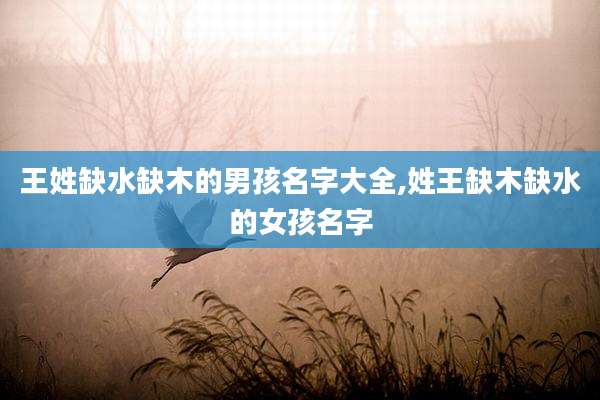 王姓缺水缺木的男孩名字大全,姓王缺木缺水的女孩名字