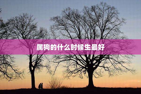 属狗的什么时候生最好