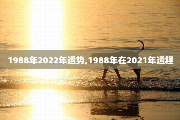 1988年2022年运势,1988年在2021年运程