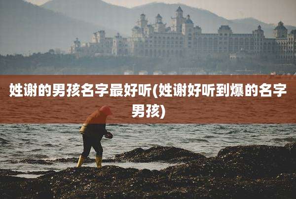 姓谢的男孩名字最好听(姓谢好听到爆的名字男孩)