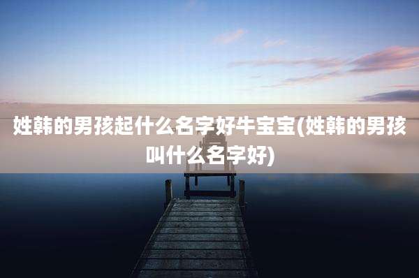 姓韩的男孩起什么名字好牛宝宝(姓韩的男孩叫什么名字好)