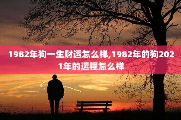 1982年狗一生财运怎么样,1982年的狗2021年的运程怎么样