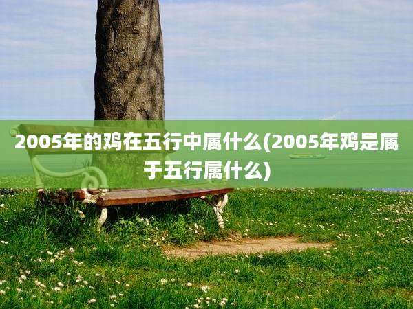 2005年的鸡在五行中属什么(2005年鸡是属于五行属什么)