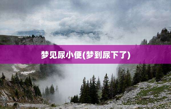 梦见尿小便(梦到尿下了)