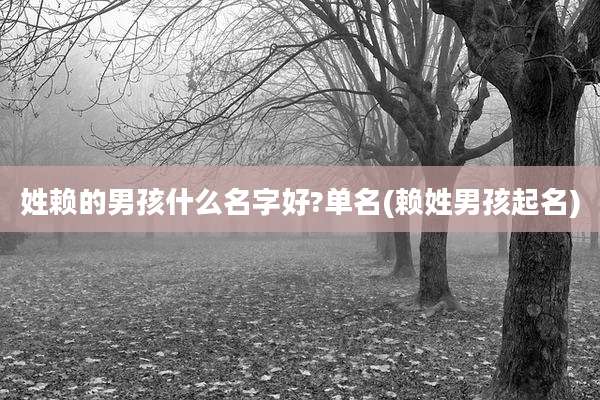 姓赖的男孩什么名字好?单名(赖姓男孩起名)