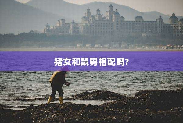 猪女和鼠男相配吗?