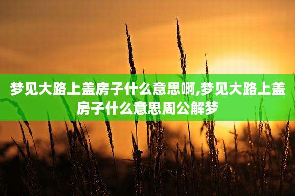 梦见大路上盖房子什么意思啊,梦见大路上盖房子什么意思周公解梦