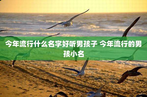 今年流行什么名字好听男孩子 今年流行的男孩小名
