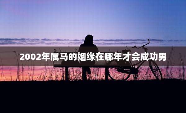 2002年属马的姻缘在哪年才会成功男