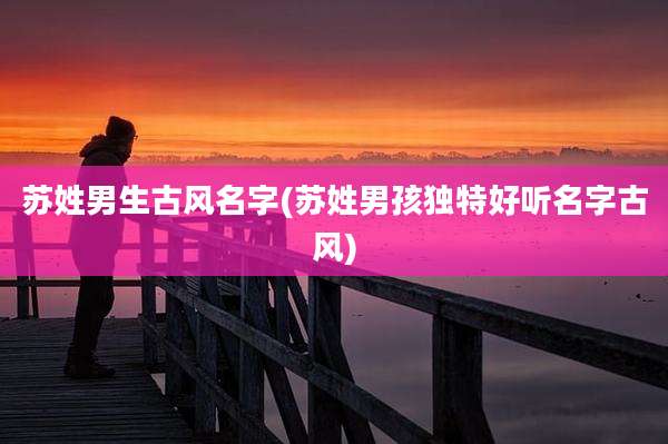 苏姓男生古风名字(苏姓男孩独特好听名字古风)