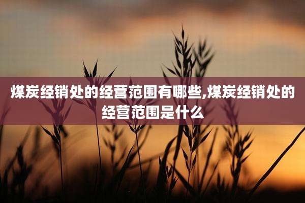 煤炭经销处的经营范围有哪些,煤炭经销处的经营范围是什么