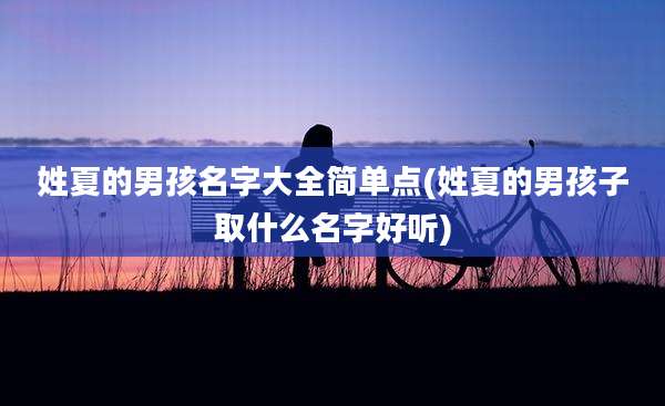 姓夏的男孩名字大全简单点(姓夏的男孩子取什么名字好听)