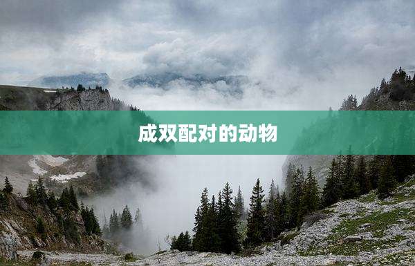 成双配对的动物