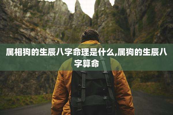 属相狗的生辰八字命理是什么,属狗的生辰八字算命