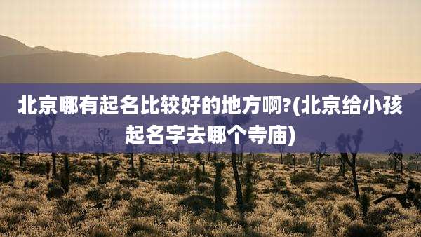 北京哪有起名比较好的地方啊?(北京给小孩起名字去哪个寺庙)
