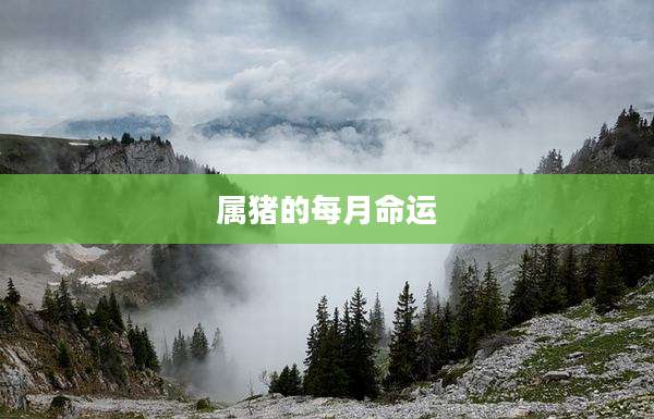 属猪的每月命运