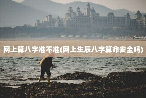 网上算八字准不准(网上生辰八字算命安全吗)
